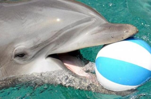 Mirė „Lesės“ ir „Fliperio“ dresuotoja