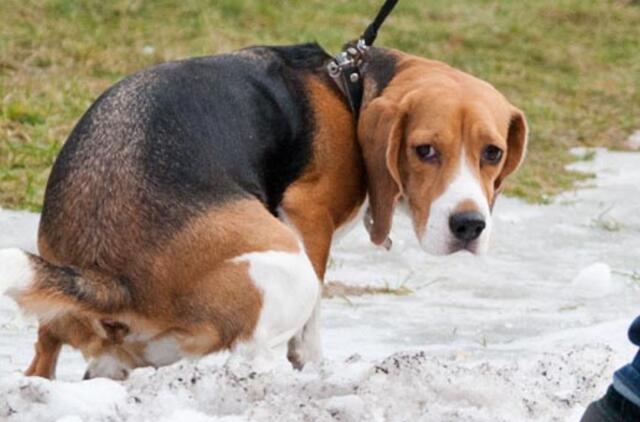 Per atlydį pamirštu, kaip atrodo dangus