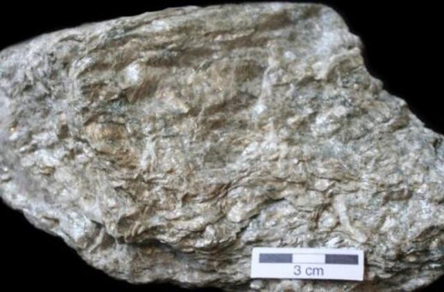 Premjeras apie skalūnų dujas: Lietuvoje iš pradžių nediskutuojama, o tada kyla nepasitenkinimas