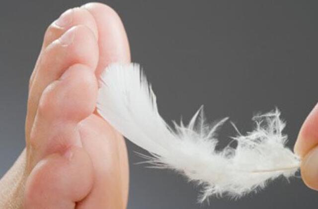 Anykščiuose iškilsiantis modernus SPA – visapusė nauda miestui