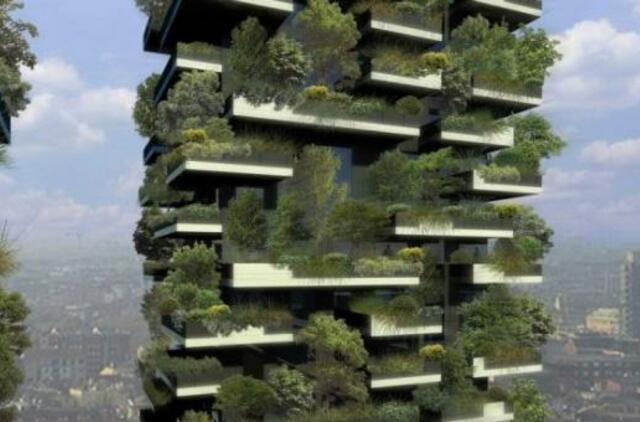 Milane kyla vertikalus miškas