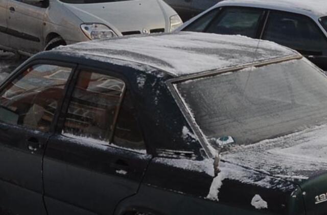 Automobilių turgų vis dar valdo žiema
