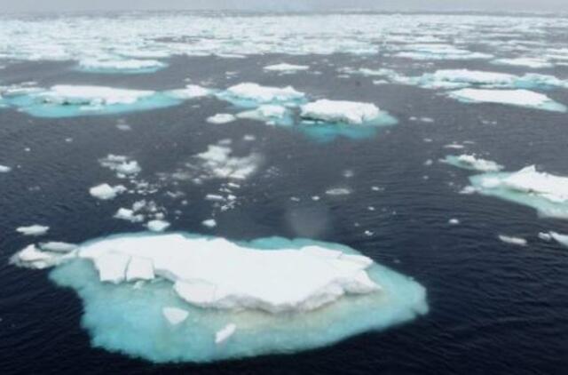 Dėl klimato kaitos Antarktidos jūroje daugėja ledo