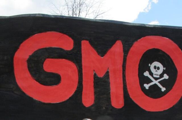 Jei nepakenks pats GMO, pakenks chemikalai