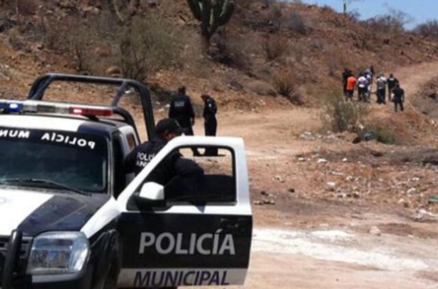 Meksiką supurtė 5,4 balo žemės drebėjimas