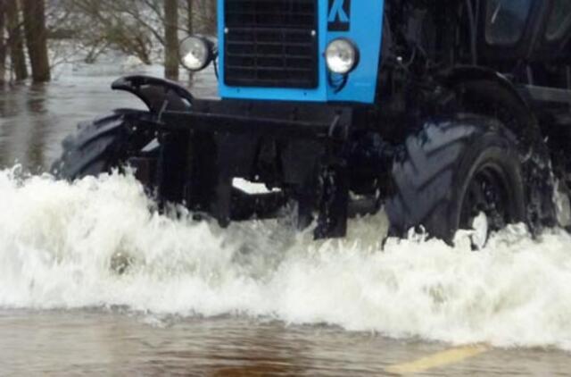 Noras užsidirbti gaudant stintas kainavo gyvybę