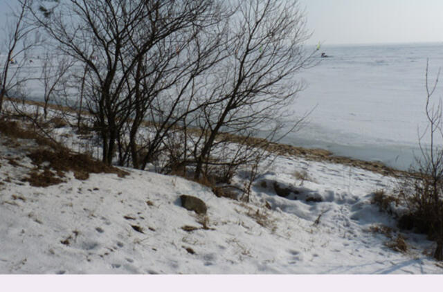 Savaitės orai: pavasario dar nesulauksime