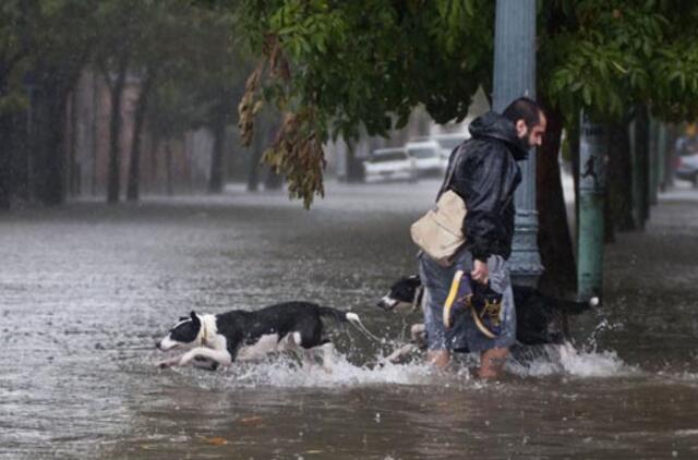 Smarki liūtis Argentinoje pražudė mažiausiai šešis žmones