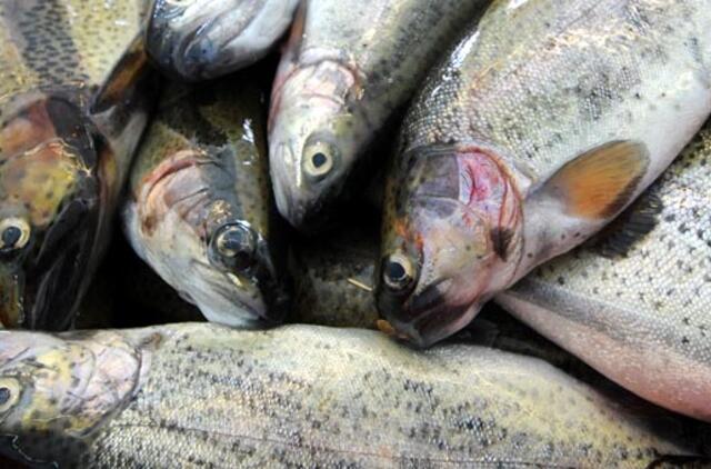 VMVT: šalies žuvininkystės ūkių tiekiamos gyvos žuvys - saugios