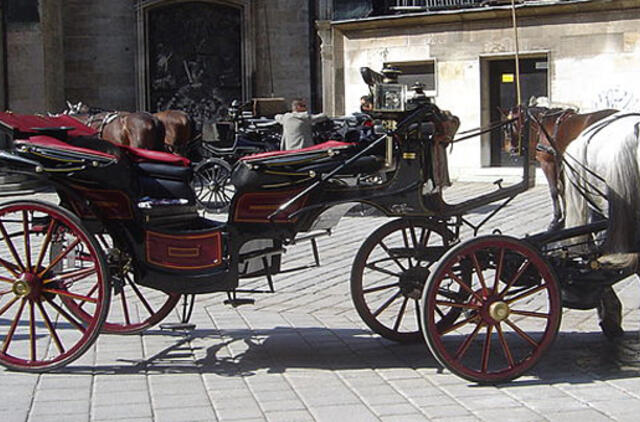 Grafų Tiškevičių laikus primins istorinė karieta