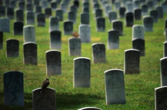 Iš Panevėžio rajono kapinių pavogtas paminklas