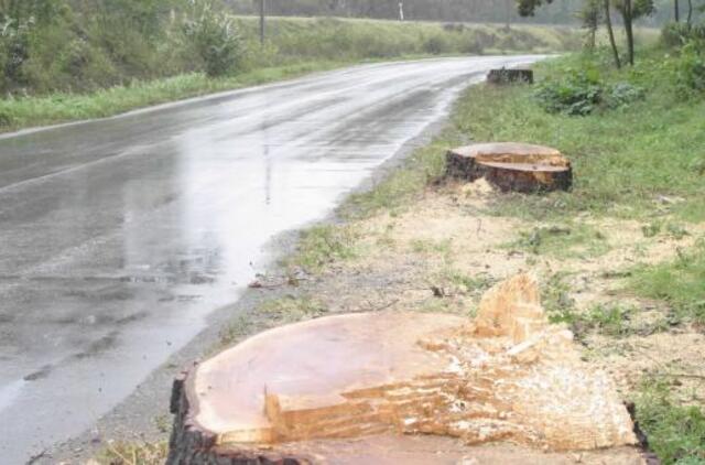 Kaune gali suvešėti pavojinga sodų ir miškų liga