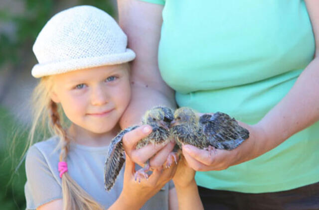 Beglobiai gyvūnai palikti likimo valiai