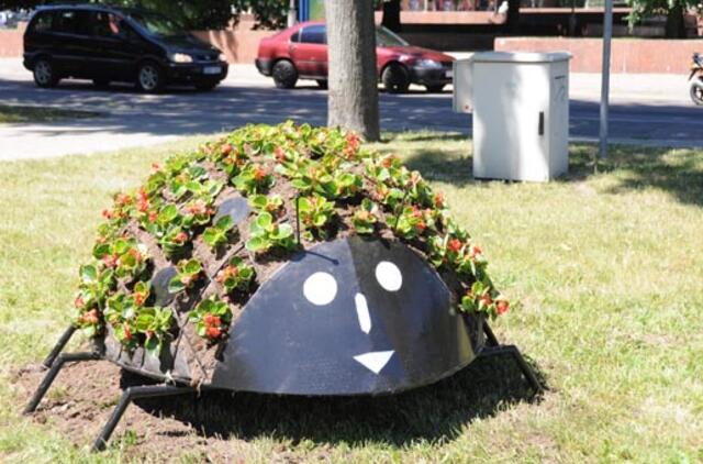 Gėlių laiveliui kompaniją palaikys boružės