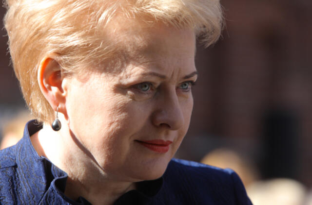 Prezidentė duos startą Lietuvos pirmininkavimo internetinei svetainei