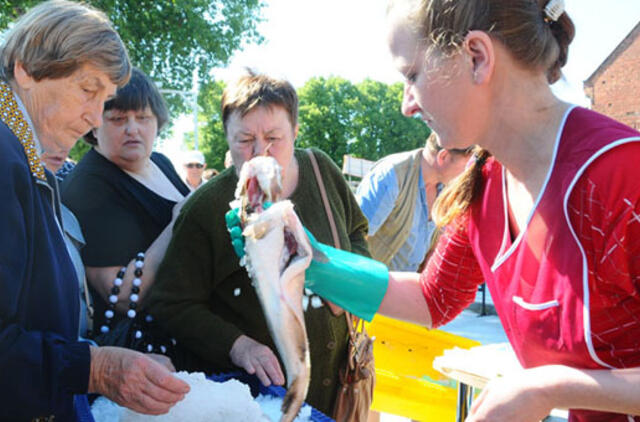 Sprendimas Danės krantinės žuvų turgui - stikliniai paviljonai