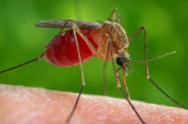 Iš tiesų uodai kai kuriuos žmones puola dažniau