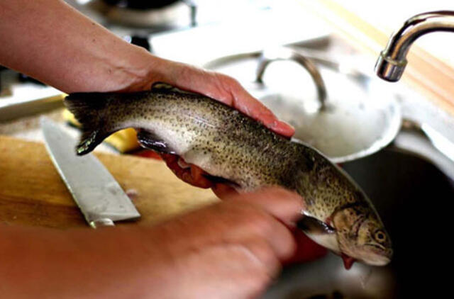 Kofermentas Q10 gali smarkiai sumažinti mirštamumą nuo širdies ligų