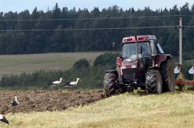 Spėti orus iš paukščių elgesio galima, bet nepatikima