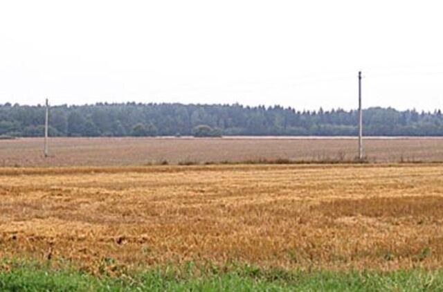 Ūkininkų nedžiugina nei derlius, nei kainos