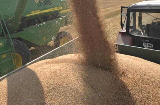 Jurbarko rajono kaime grūduose nuskendo vaikas