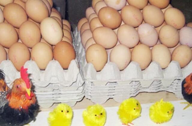 Kaip išsirinkti maistingiausius kiaušinius