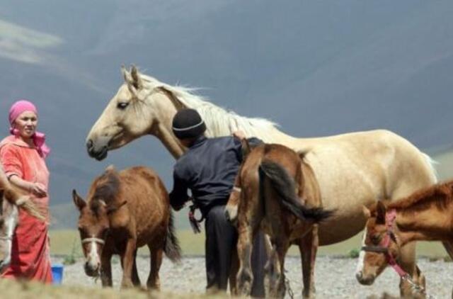 Kirgizai reikalauja kompensacijos už carinės Rusijos veiksmus