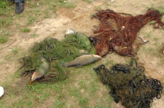 Kirtis brakonieriams: nei valties, nei uodegos