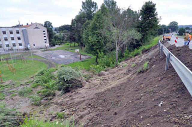 Liūtis atskleidė projektuotojų klaidas