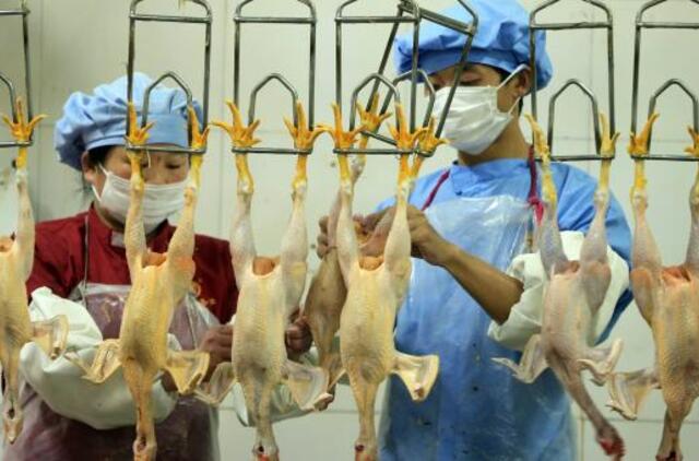 Paukščių gripo virusas H7N9 gali būti perduodamas žmogaus žmogui