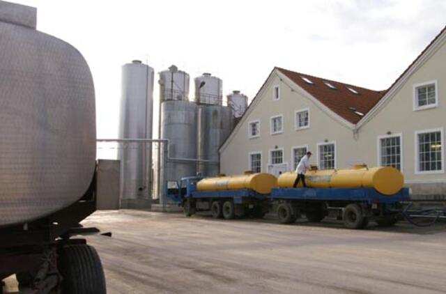 Pieno žaliavos eksporto spurtas ir mažųjų baldininkų iššūkiai ieškoti naujų rinkų