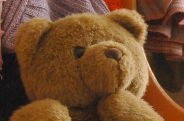 Pliušinis meškinas sumušė austro Felikso Baumgartnerio kryčio rekordą