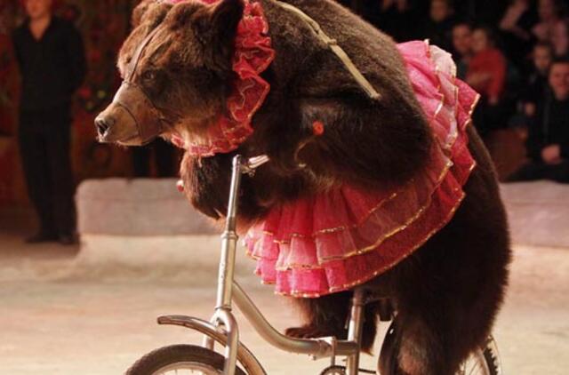 Salvadoro Parlamentas uždraudė naudoti gyvūnus per cirko vaidinimus