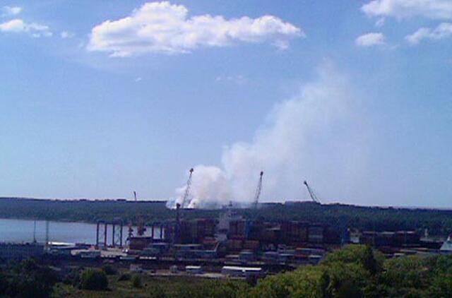 Kuršių nerijoje išdegė 30 arų miško paklotės