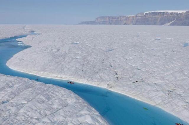 "The Guardian": dėl klimato pokyčių Grenlandijoje iki 2100 metų gali sužaliuoti miškai