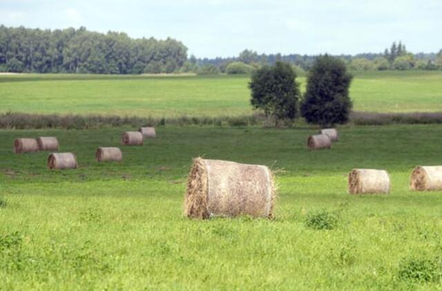 ŽŪM jau regi žemės reformos pabaigą