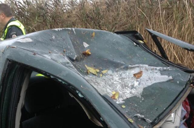 Į kelią išbėgęs briedis pražudė ir vairuotoją