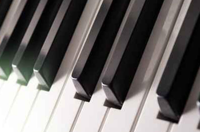 Iš automobilio pavogė elektrinius vargonus