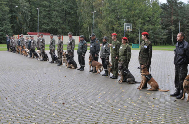 Narkotikų geriausiai ieško šuo Simba