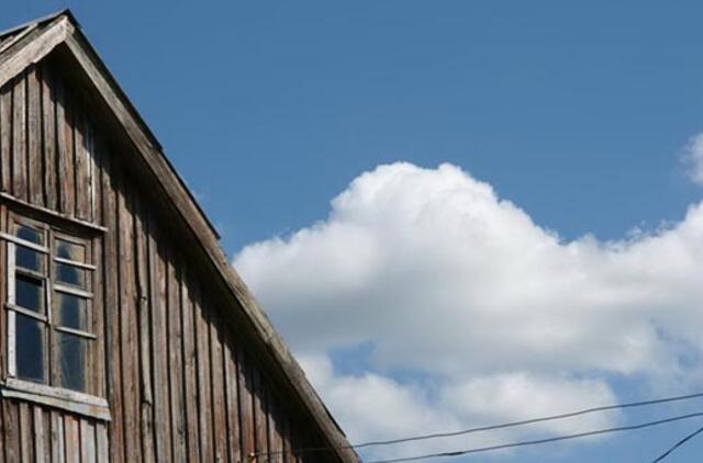 Apie daugiaprasmę medžių tylą...