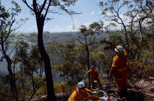Australijoje artėjant ugnies audrai evakuojami tūkstančiai žmonių