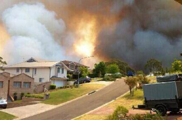 Australijos krūmynų gaisrai: pradėtas tyrimas dėl galimo ryšio su karinėmis pratybomis