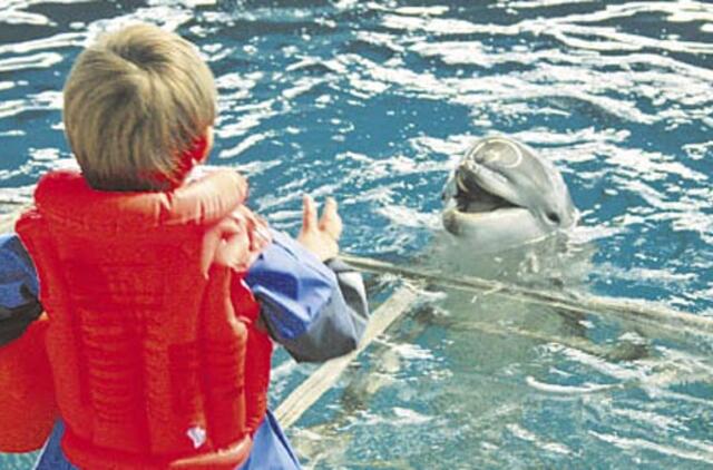 Delfinai moko vaikus bendrauti