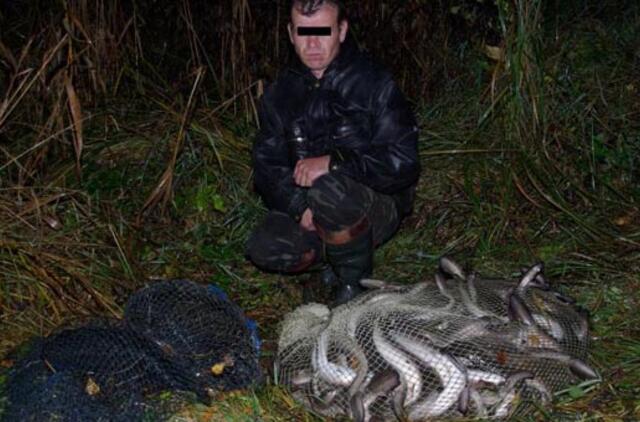 Nelegaliai sugauti unguriai brakonieriui kainuos 103 tūkst. litų