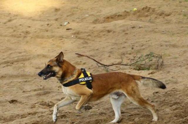 Pasiklydusias moteris ir jas radusius pareigūnus iš klastingos pelkės išvedė belgų aviganė