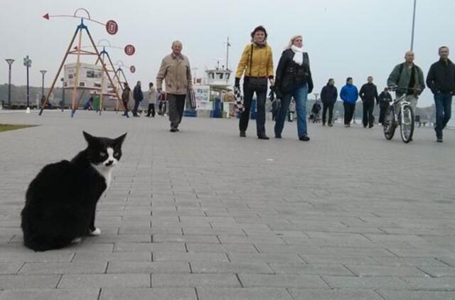 Penktadienį oras kai kur sušils iki 18 laipsnių