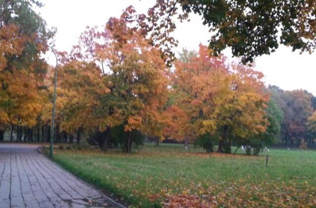 Sinoptikė: savaitgalis bus gražus, be lietaus