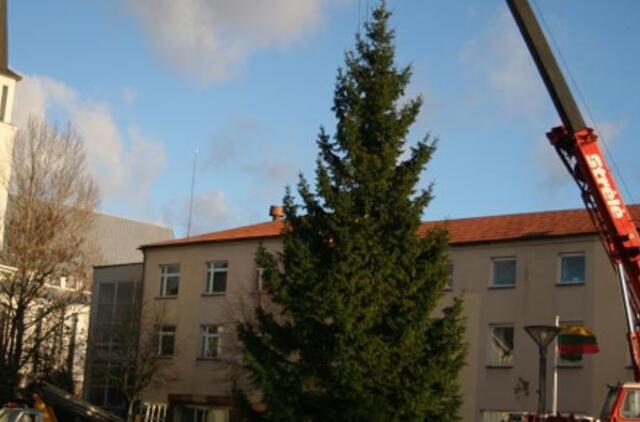 Gargždų centrą papuošė žaliaskarė