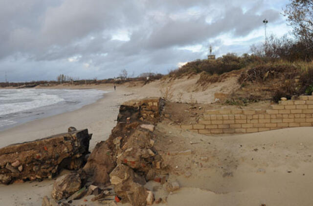 Melnragė gelbėjama tik popieriais