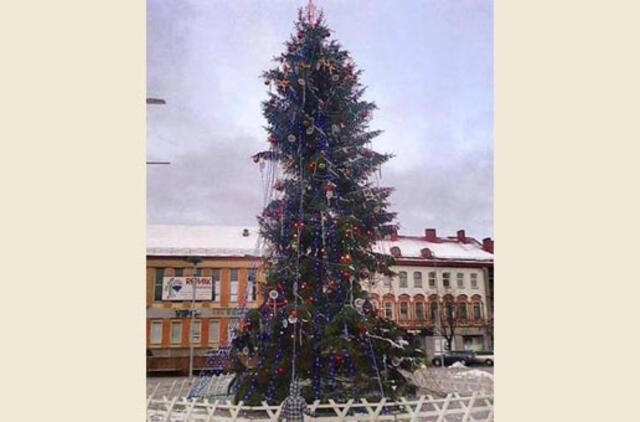 "Baisiosios" Panevėžio eglutės kaina - 300 litų